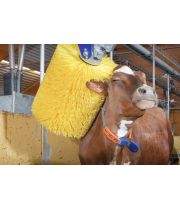 Маятниковая щётка для коров DeLaval SCB